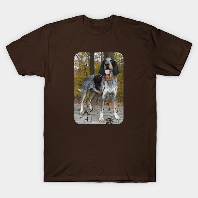 BLUETICK COONHOUND T-Shirt by Cult Classics